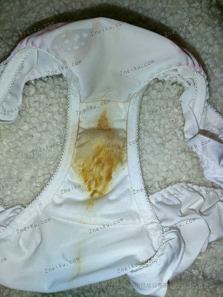 一条裆部粘有很多白带的原味内裤的照片 - 缩略图