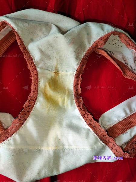 纯棉印花蕾丝边原味内裤的图片 - 缩略图