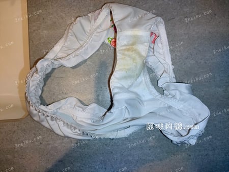 姐姐刚脱下来的内裤 - 缩略图